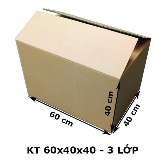 Bao Bì Tân Thành Đạt 10