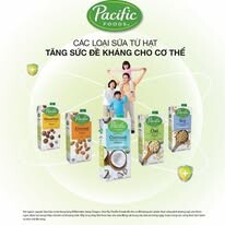 Truyền Thông Hoa Mặt Trời 4