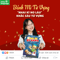 Shelton - Easy Group 6