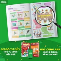 Shelton - Easy Group 7