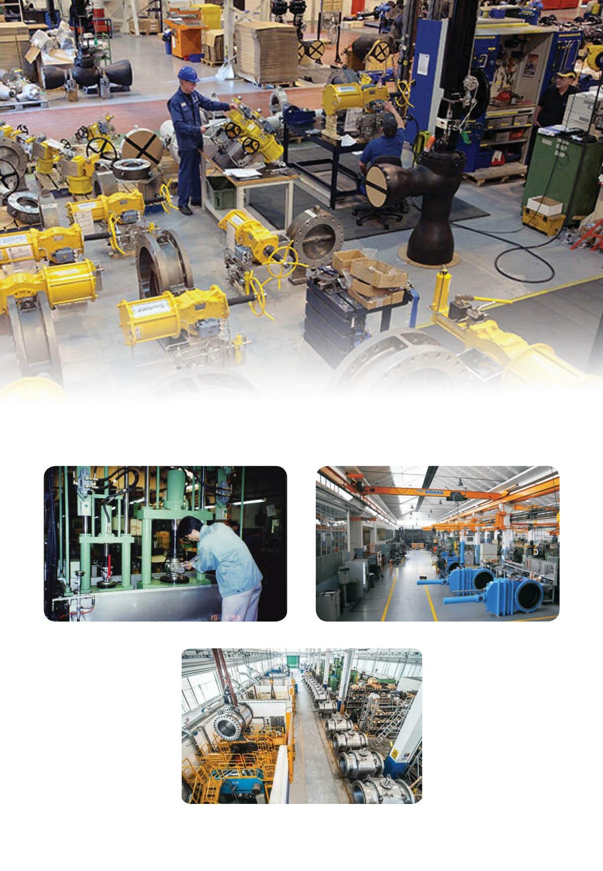 Xuất Nhập Khẩu Avs Việt Hàn 1