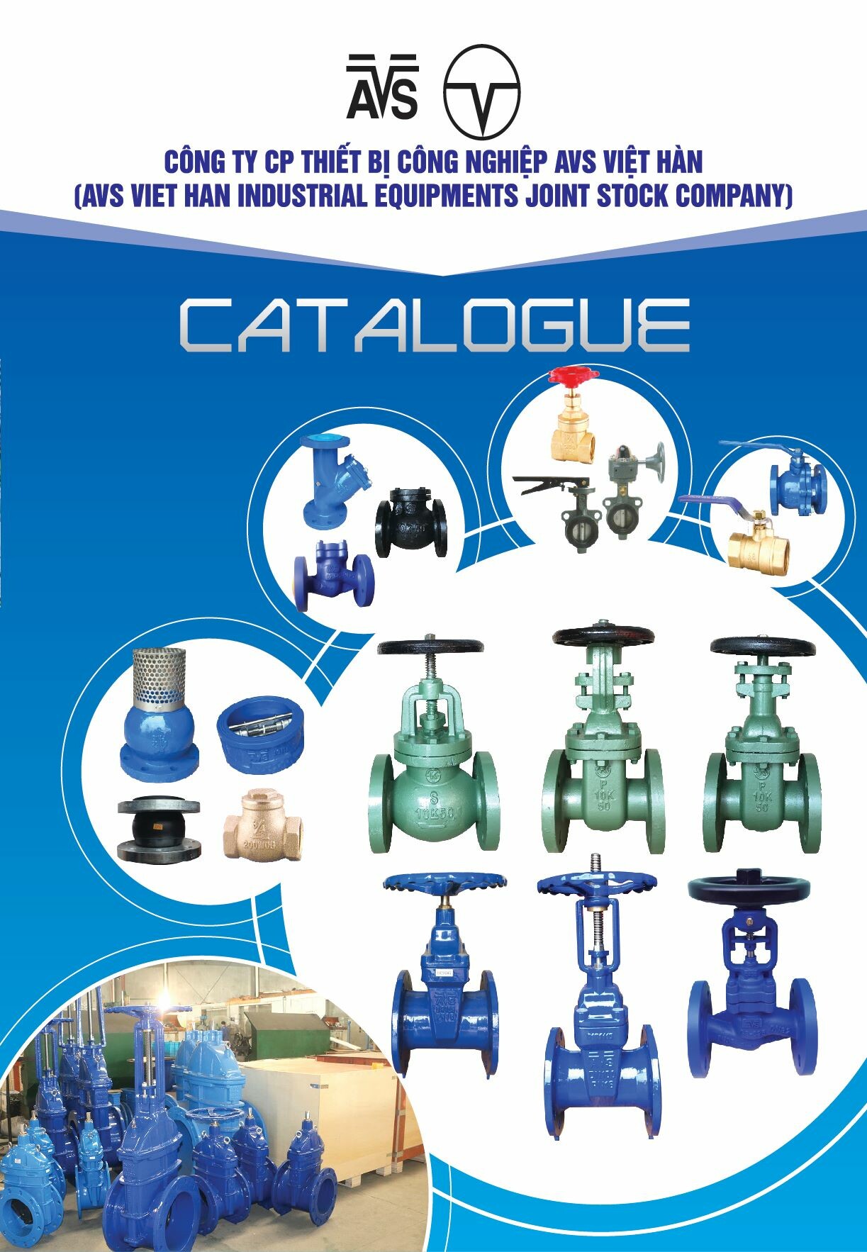 Xuất Nhập Khẩu Avs Việt Hàn 4