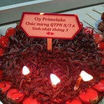 Công Nghệ Prime-Labo 8