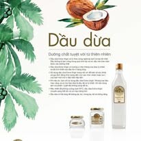 Truyền Thông Hoa Mặt Trời 6