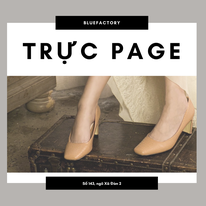 Công Ty TNHH Bluefactory 8