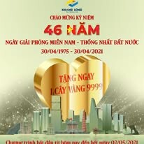 Đầu Tư Khang Long 11