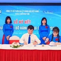 Đại lý Hàng hải Việt Nam (VOSA Corp.) 8