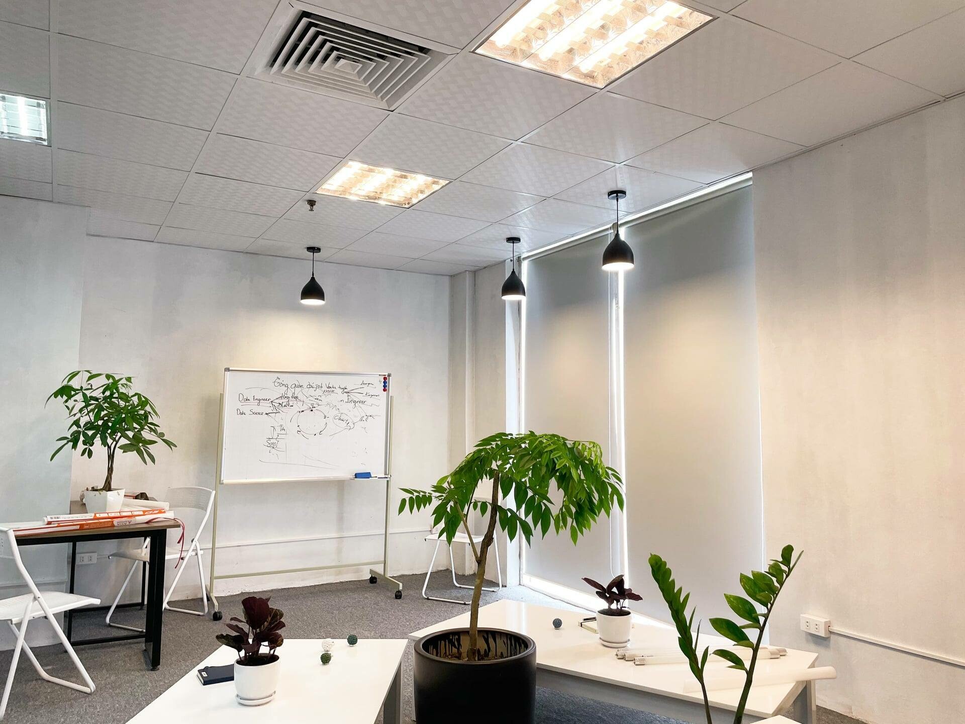 Human Solutions Việt Nam 1