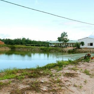 Chăn Nuôi Thanh Dương 7