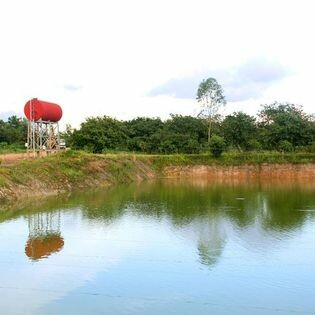 Chăn Nuôi Thanh Dương 6