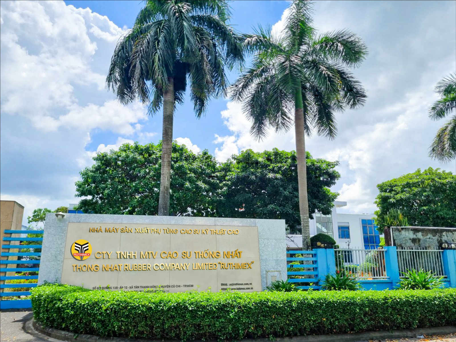 Cao Su Thống Nhất 10