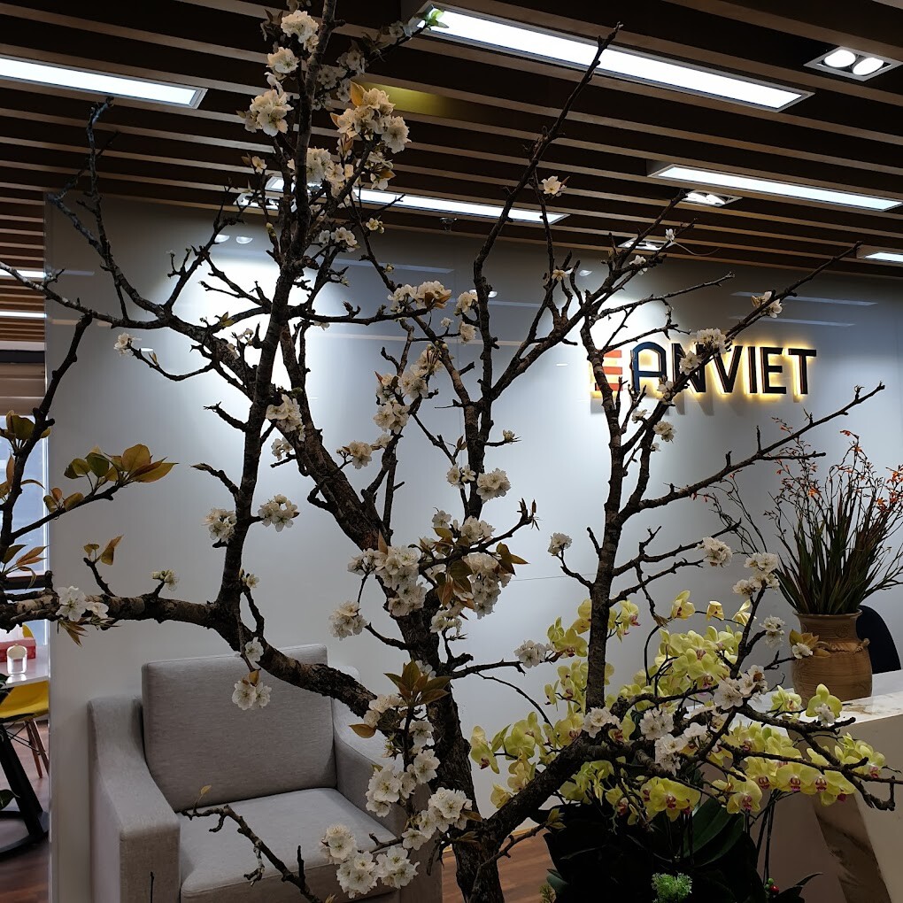 ĐẦU TƯ THIẾT BỊ Y TẾ AN VIỆT 7