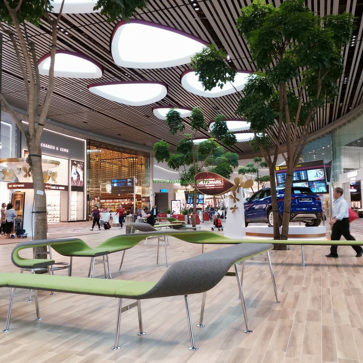 Trolea Việt Nam - TLA 11