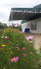 Nông Nghiệp Hữu Cơ An Phú 10