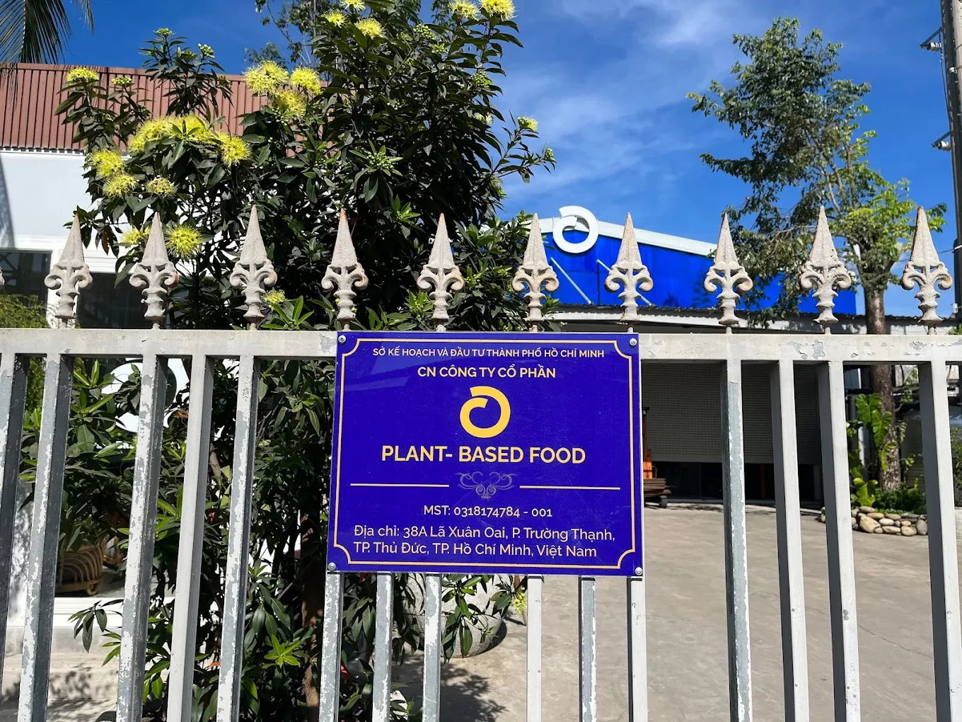 O PLANT-BASED FOOD 8