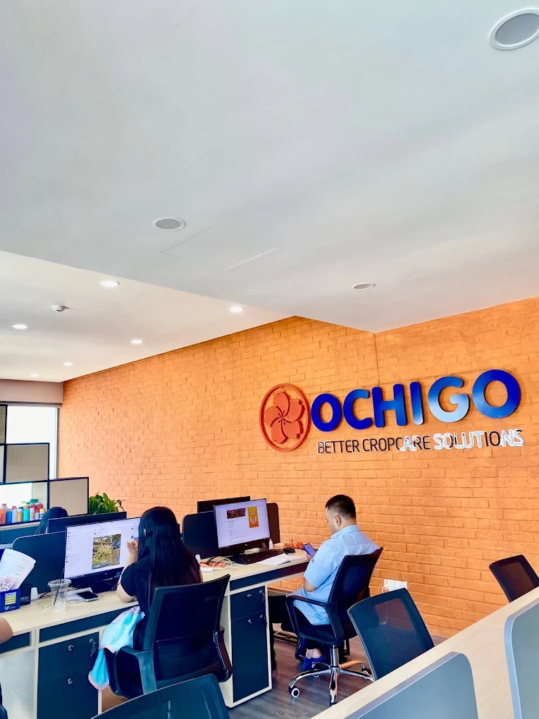 OCHIGO VIỆT NAM 1
