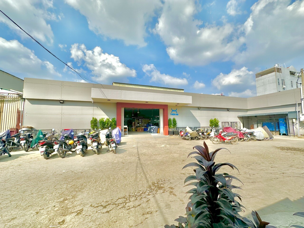 May Thêu Thiên Ân 6