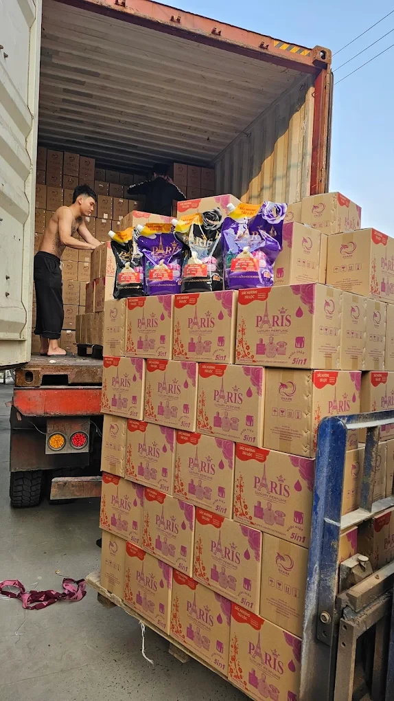 QUỐC TẾ SHARK 10