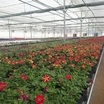 Công Ty Cổ Phần Pan-Hulic 7