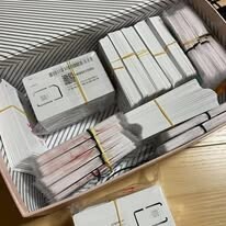 LOTUS VENTURE HOLDING 1