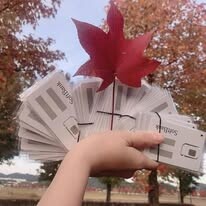 LOTUS VENTURE HOLDING 3