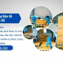 Sao Nam - SANCOPACK 16