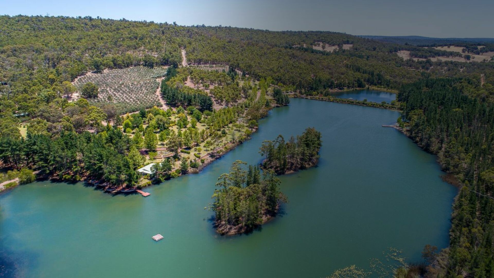 New Century Investment 5