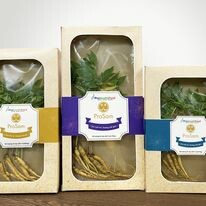 Capital Seaweed Consumer Việt Nam (CSC VietNam) 4