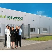 Capital Seaweed Consumer Việt Nam (CSC VietNam) 5