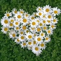 Công Ty Cổ Phần Pan-Hulic 8