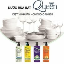 Truyền Thông Hoa Mặt Trời 13