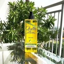 Truyền Thông Hoa Mặt Trời 11