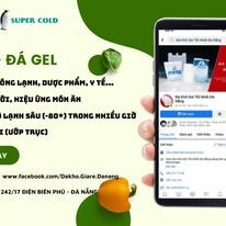 PHƯƠNG VIỆT GROUP 9