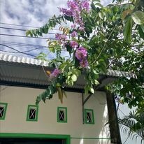 Công Nghệ Prime-Labo 15