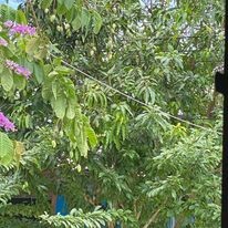 Công Nghệ Prime-Labo 16