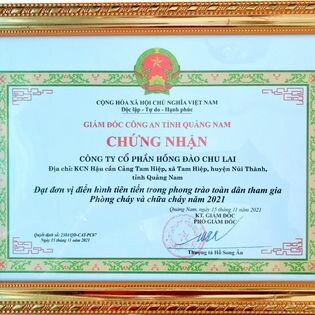 Hồng Đào Chu Lai 3