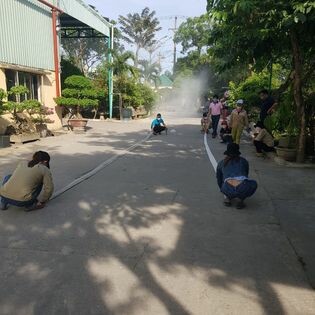 Hồng Đào Chu Lai 2