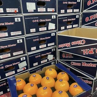 Việt Vạn Nhất 1