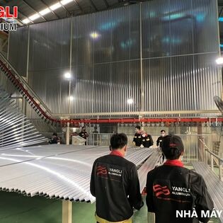 Nhôm Yangli Việt Nam 4