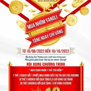 Nhôm Yangli Việt Nam 10