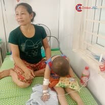 Xuất Nhập khẩu Daika 13