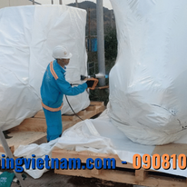 Sao Nam - SANCOPACK 1