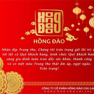 Hồng Đào Chu Lai 7