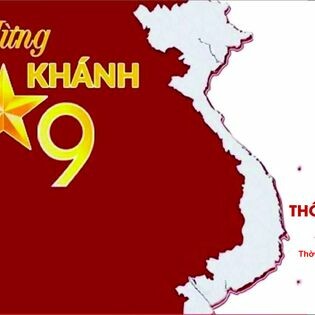 Hồng Đào Chu Lai 6