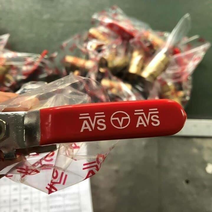 Xuất Nhập Khẩu Avs Việt Hàn 9