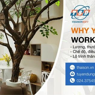 Công Nghệ Thái Sơn 11