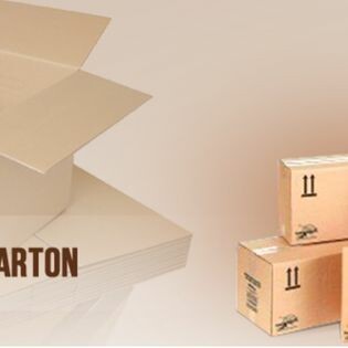 Hồng Đào Chu Lai 8