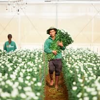 Công Ty Cổ Phần Pan-Hulic 9