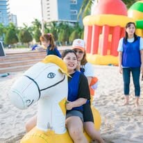 Pronics Precision 10