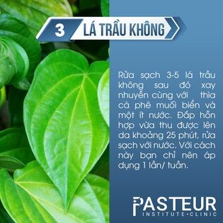 Pasteur Việt Nam 7
